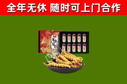 临澧县回收冬虫夏草价格