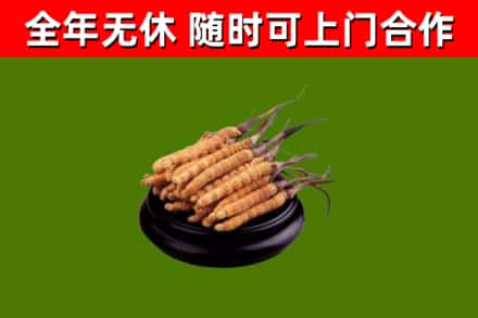 临澧县烟酒回收冬虫夏草.jpg
