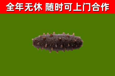 临澧县烟酒回收干海参.jpg